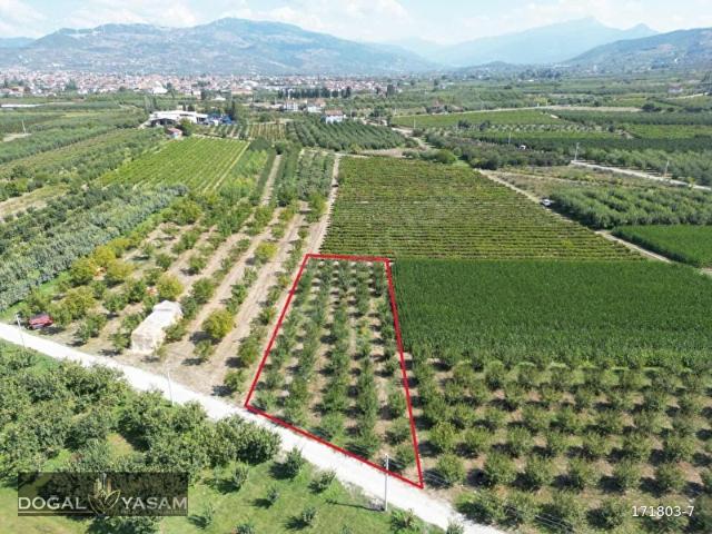 Geyve, Sakarya içerisinde satılık Arsa