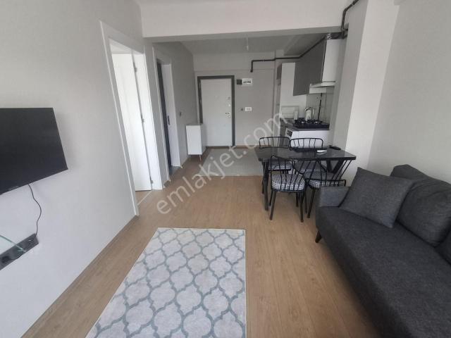 Nazilli, Aydin içerisinde kiralık mülk