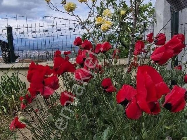 Havran, Balikesir içerisinde satılık Villa