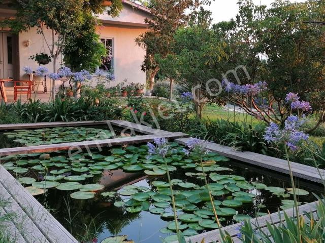 Milas, Muğla içerisinde kiralık Villa