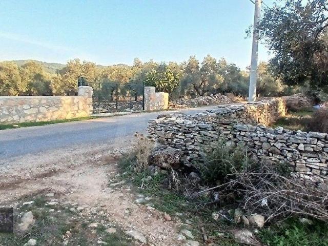 Milas, Muğla içerisinde satılık mülk