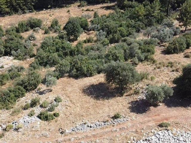 Alaçat, Seydikemer içerisinde satılık Arsa