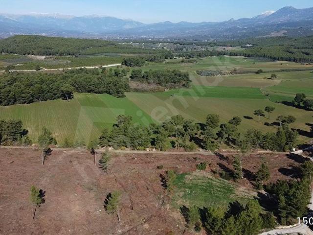 Muğla içerisinde satılık Arsa