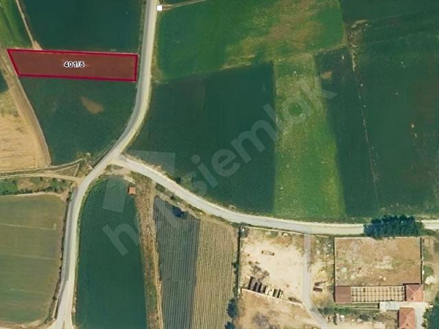 Doğanlı, Turhal içerisinde satılık Arsa