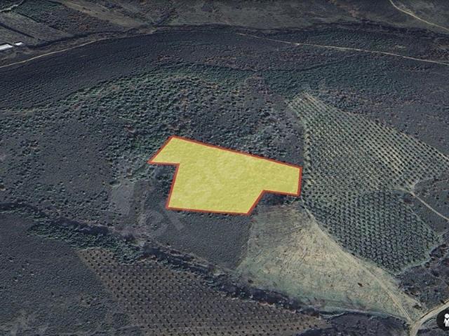 Gemlik, Bursa içerisinde satılık Arsa