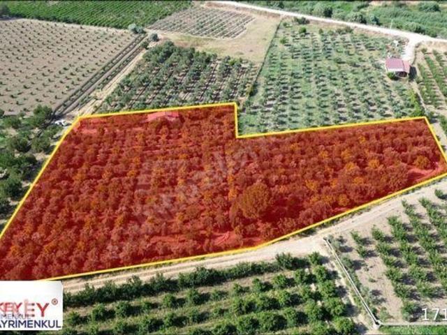 Mermerli Mahallesi, Menemen içerisinde satılık mülk