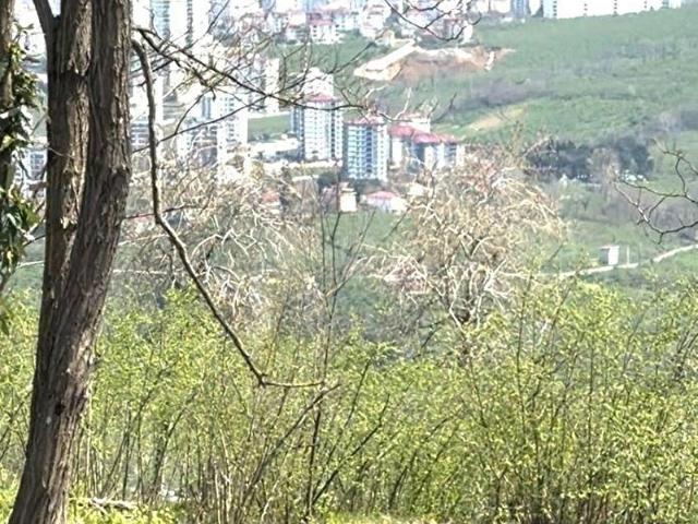Nizamettin Mahallesi, Altınordu içerisinde satılık mülk