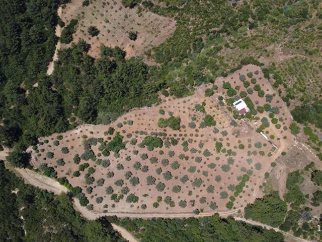 Torbali, İzmir içerisinde satılık Arsa