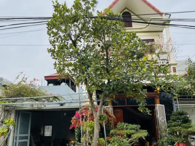 Nhà mặt phố bán tại Lâm Đồng