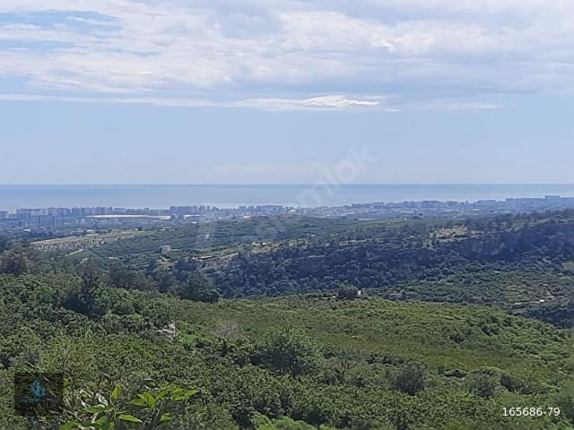 Mezitli, Mersin içerisinde satılık mülk