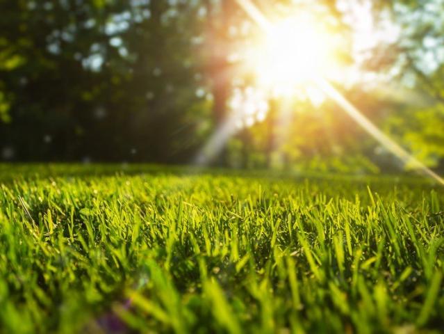 Land for sale in Warnervale, New South Wales