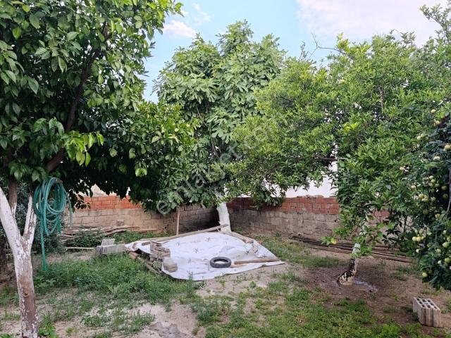 Nazilli, Aydin içerisinde satılık Villa
