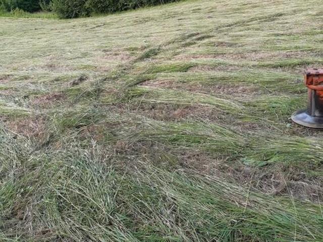 Grunt na sprzedaż w Tyczyn, Podkarpackie