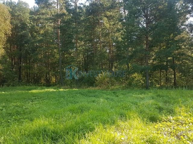 Grunt na sprzedaż w Ludwinów, Mazowieckie