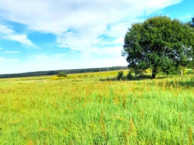 Grunt na sprzedaż w Wawrów, Lubuskie