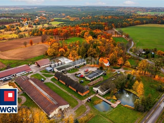 Grunt na sprzedaż w Pomorskie
