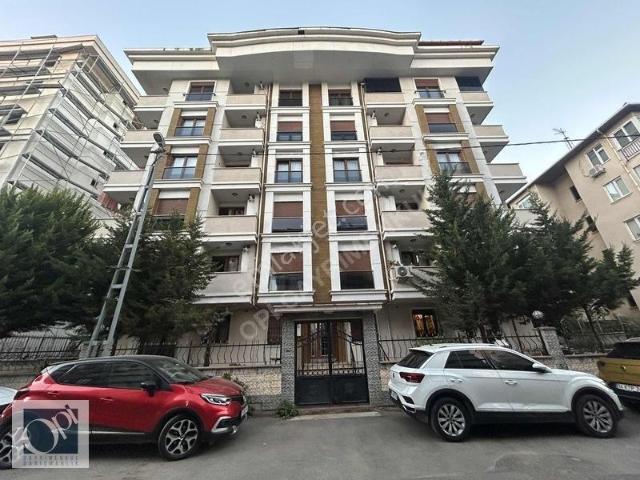 Doğu Mahallesi, Pendik içerisinde kiralık mülk