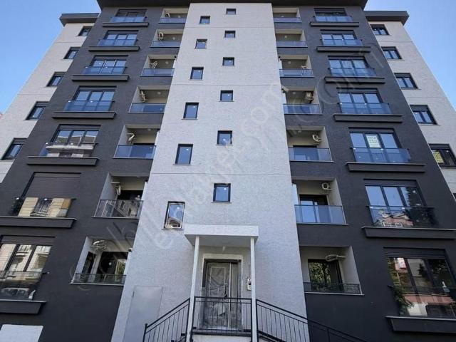Pendik, İstanbul içerisinde kiralık mülk