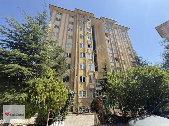 Tokat Merkez, Tokat içerisinde kiralık mülk