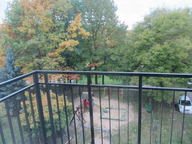 Mieszkanie do wynajęcia w Zamość, Lubelskie