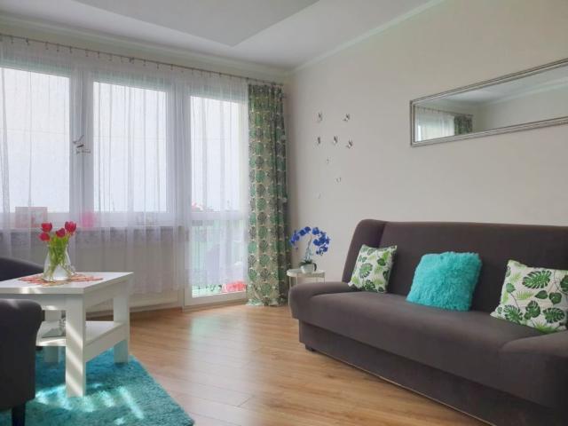 Mieszkanie do wynajęcia w Legnica, Dolnośląskie