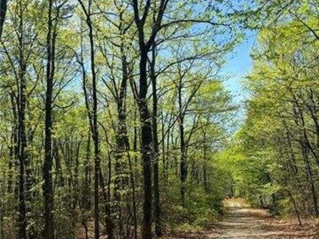 Land for sale in Dobson, North Carolina