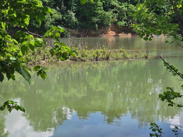 Land for sale in Ark