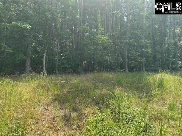 House for sale in Chappells, South Carolina