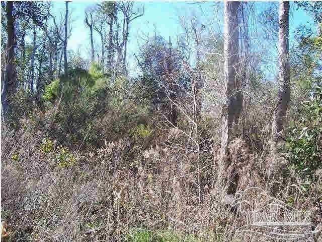 Land for sale in Gulf, Florida