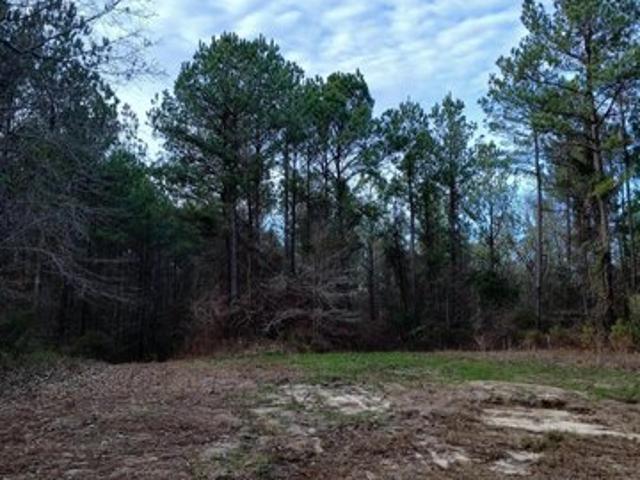 Land for sale in Meridian, Mississippi