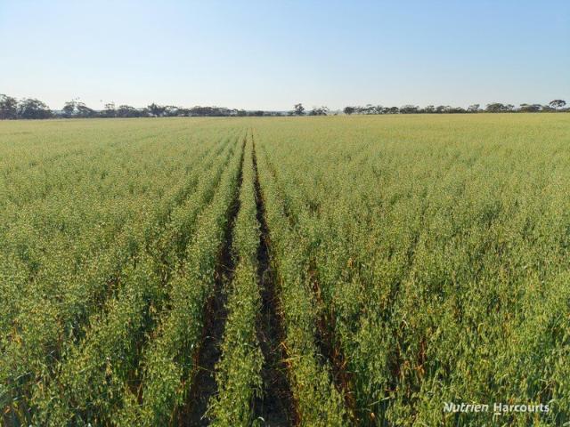 Acreage for sale in Goomarin, Western Australia