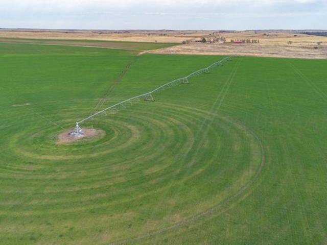 Farm for sale in Wheeler, Texas