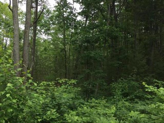 Land for sale in Gaylord, Michigan