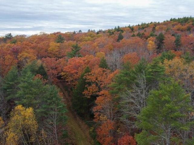 Land for sale in Dresden, Maine
