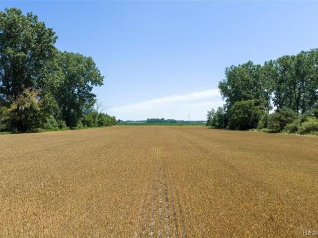 Land for sale in Tuscola, Michigan