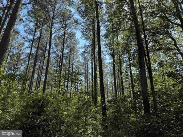Land for sale in Virginia