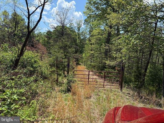 Land for sale in Yellow Spring, West Virginia