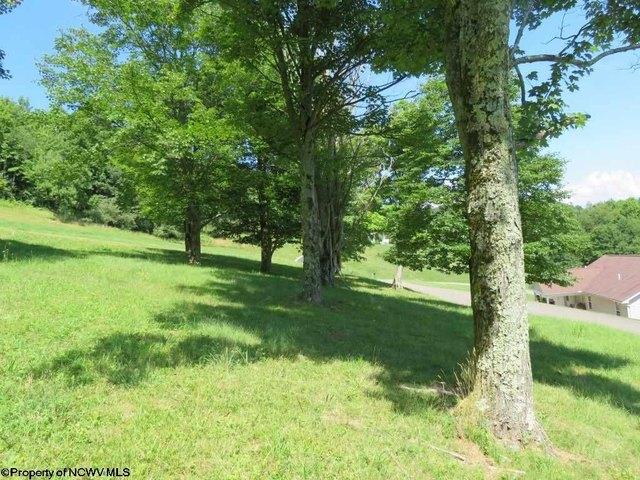 Land for sale in Buckhannon, West Virginia
