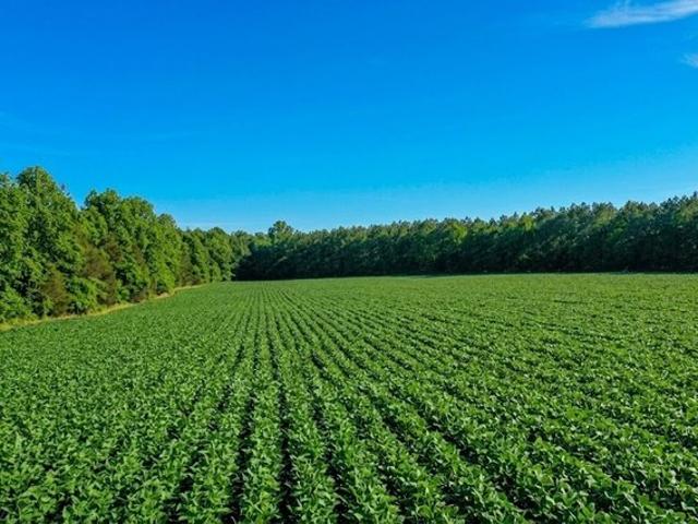 Land for sale in Tennessee