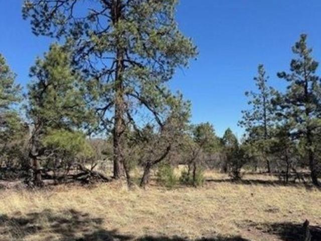 Land for sale in New Mexico