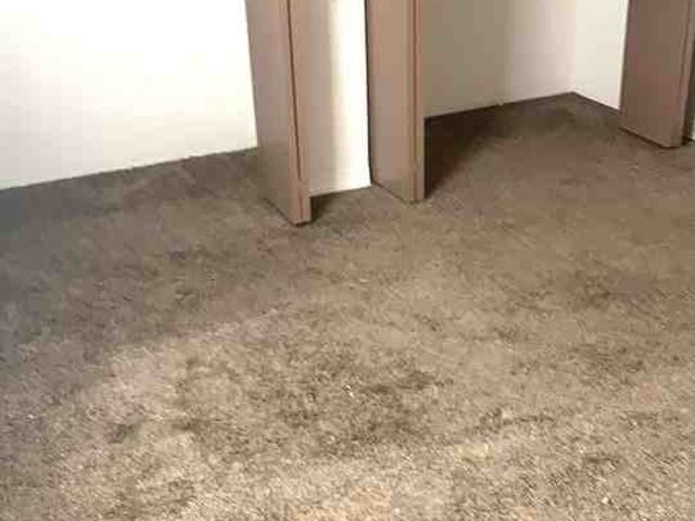 Apartment for rent in Park Hills, Missouri