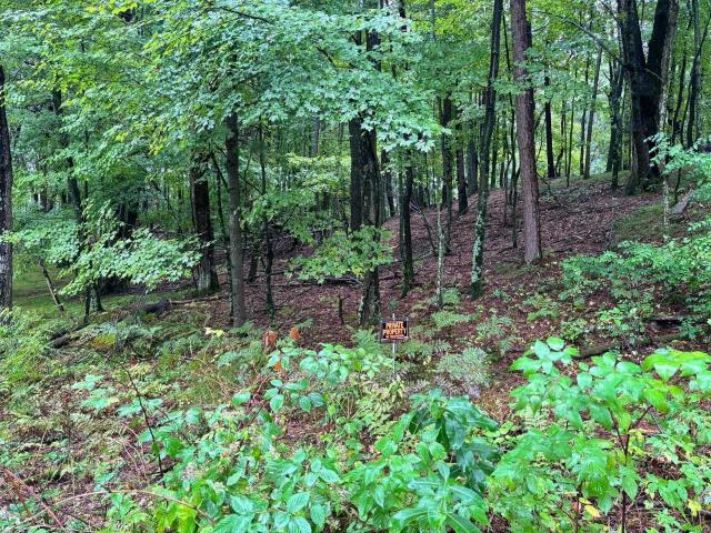 Land for sale in Town of Iola, Waupaca County