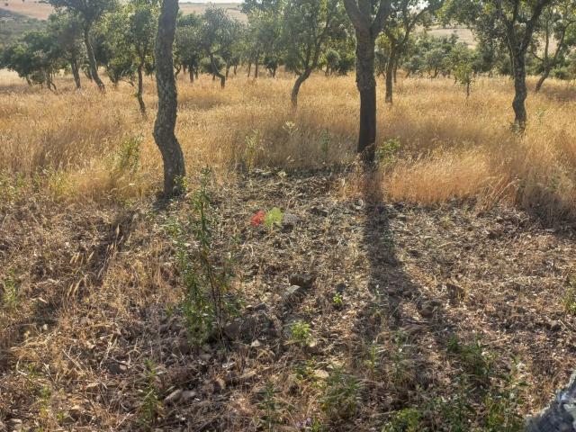 Terreno venda em Santa Cruz