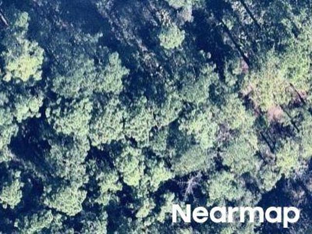 Land for sale in Florida