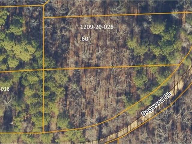 Land for sale in Tishomingo, Mississippi