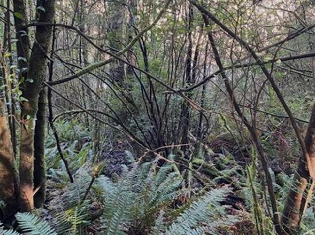 Land for sale in Oregonia