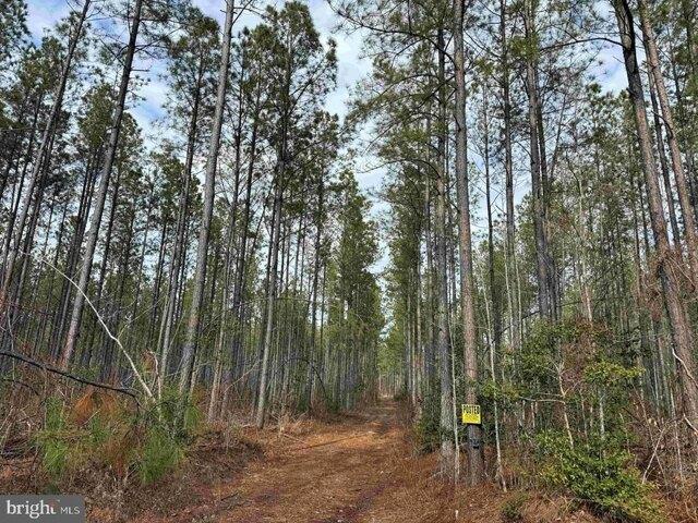 Land for sale in Virginia