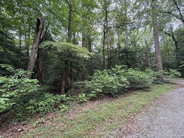 Land for sale in Virginia