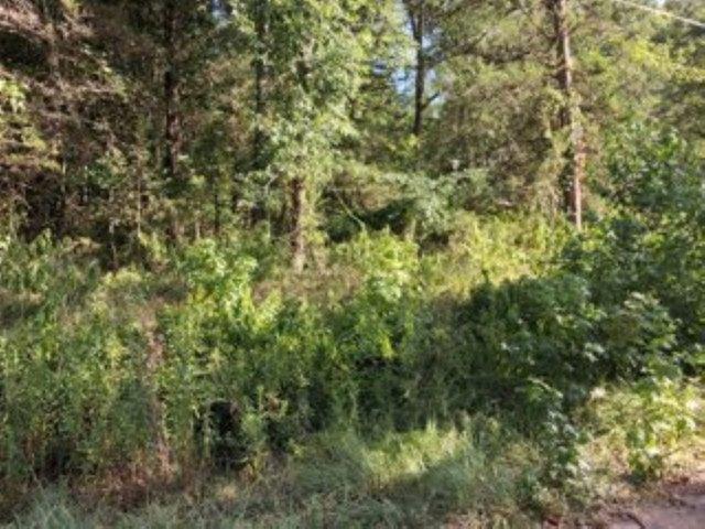Land for sale in Henderson, Texas