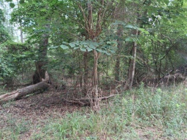 Land for sale in Henderson, Texas